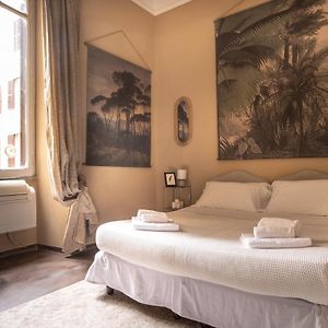 Superior Kamer met een King Size Bed